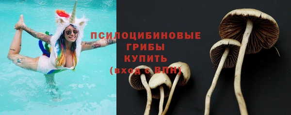 Альфа ПВП Осташков