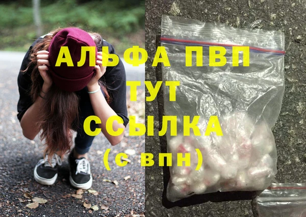 индика Осинники