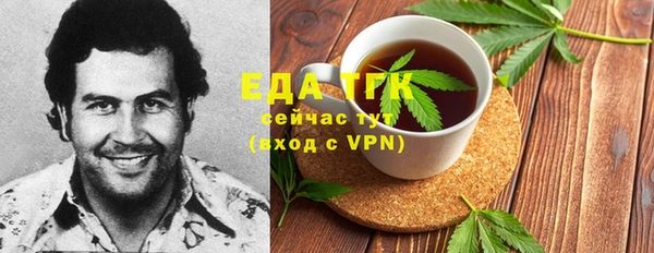 индика Осинники