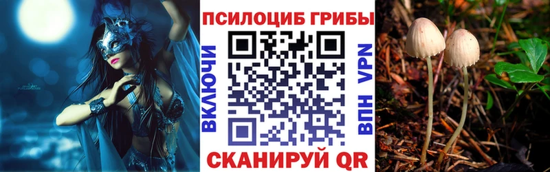 купить наркотик  Мантурово  omg ссылка  darknet телеграм  Галлюциногенные грибы Cubensis 